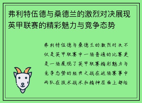 弗利特伍德与桑德兰的激烈对决展现英甲联赛的精彩魅力与竞争态势